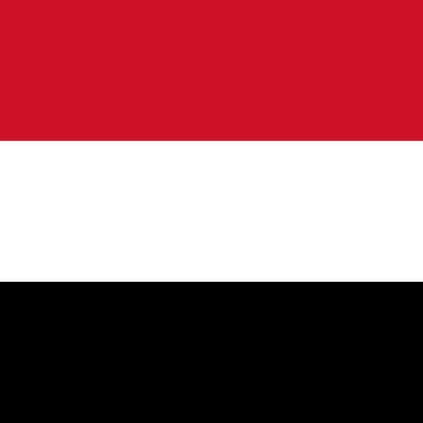 Saudi troops fighting in Yemen by...?