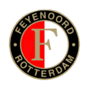 fey icon