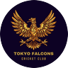 tok2 icon