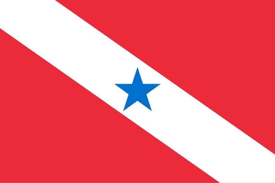Pará Senate Election: 2nd Place - image