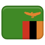 zam icon