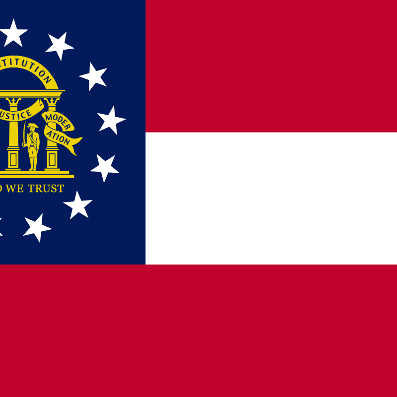 icon for Georgia Lieutenant Governor Election Winner