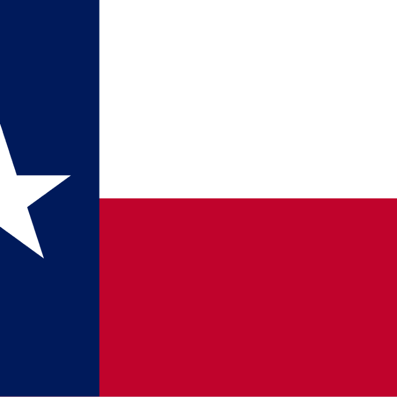 icon for Texas Lieutenant Governor Election Winner