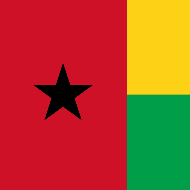 Guinea-Bissau Constitutional Referendum - image