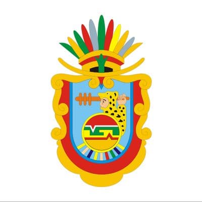 Guerrero Governor Election Winner - image