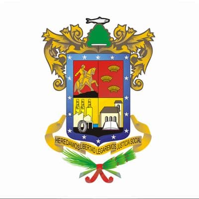 Michoacán Governor Election Winner - image