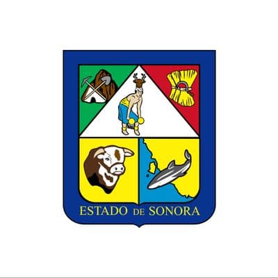 Sonora Governor Election Winner - image