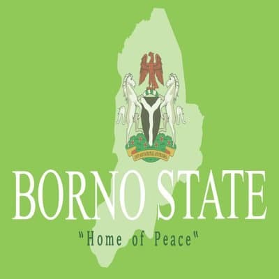 Borno, Nigeria Governor Election Winner - image