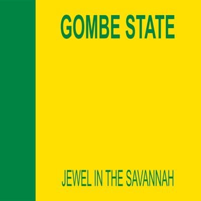 Gombe, Nigeria Governor Election Winner - image