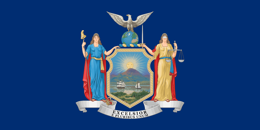 NY-03 House Election Winner card icon