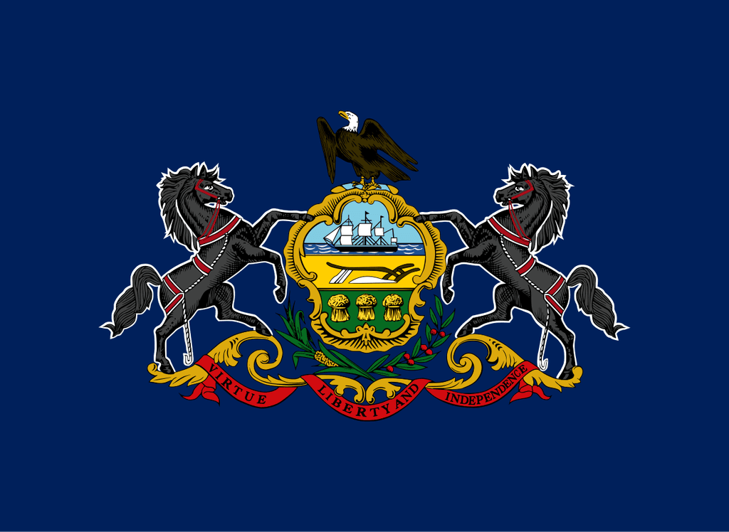 PA-10 House Election Winner
