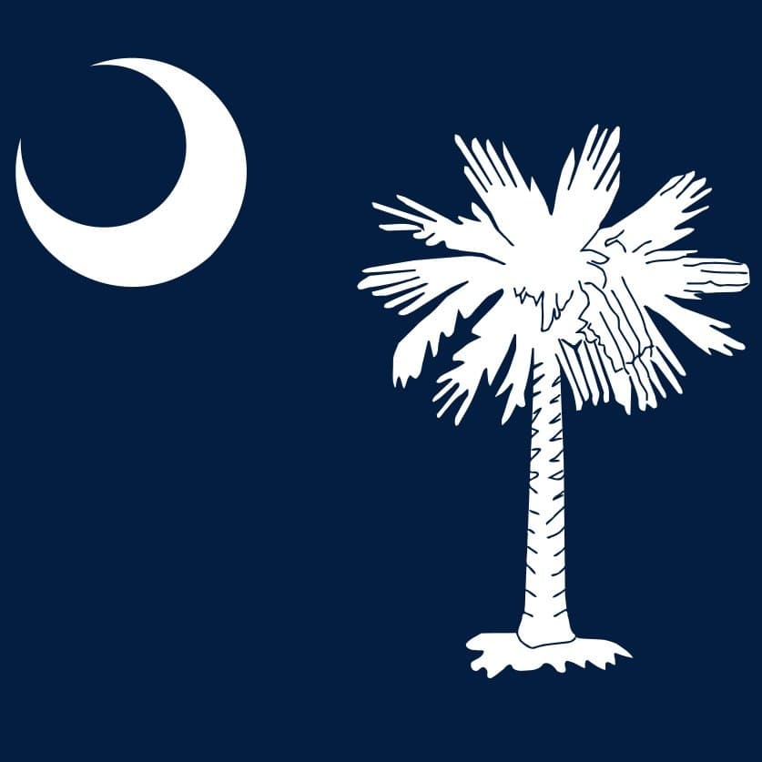 South Carolina Republican Senate Special Primary Winner card icon