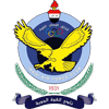Al Quwa Al Jawiya