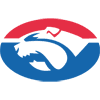 icon for Western Bulldogs vs. Collingwood Magpies