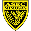 mim icon
