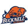Bison