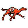Fighting Camels