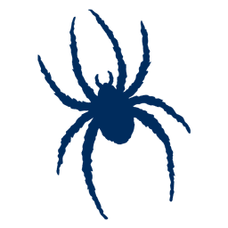 Spiders