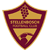stb icon