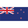 nzl icon