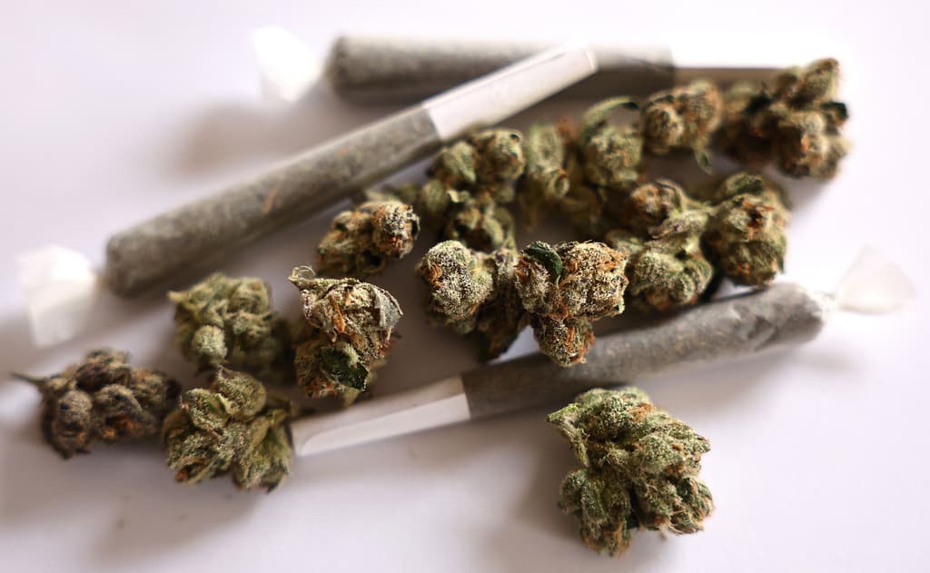 icon for Weed rescheduled by December 31?