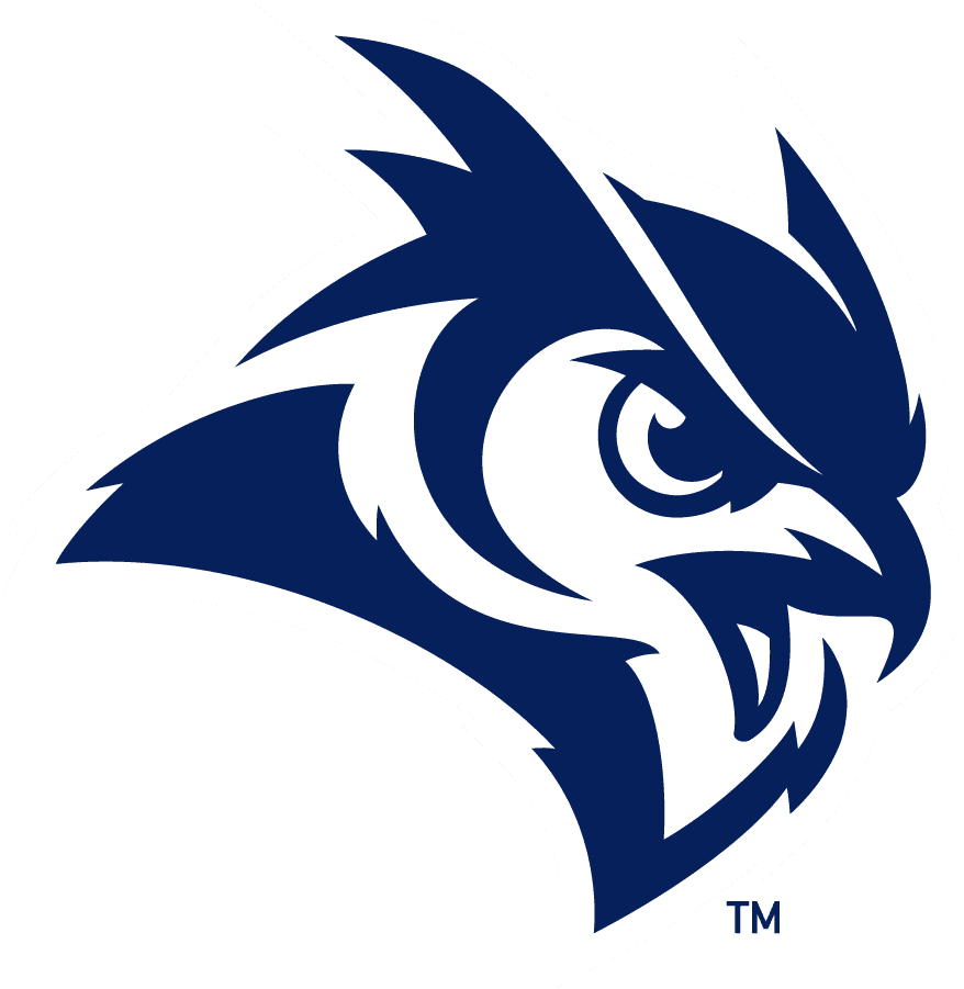 Rice Owls
