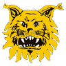 Tampereen Ilves