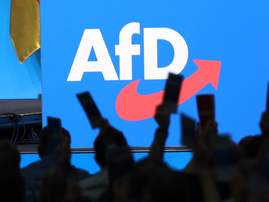 icon for AfD wins the most seats in how many September state elections?