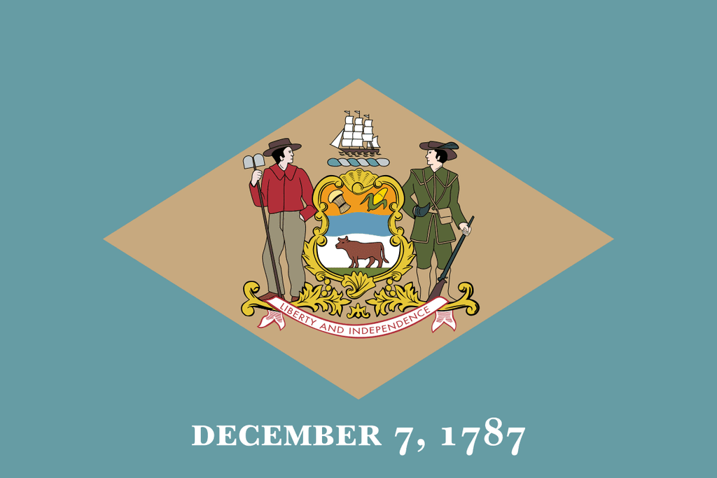 icon for Delaware Democratic Senate Primary Winner