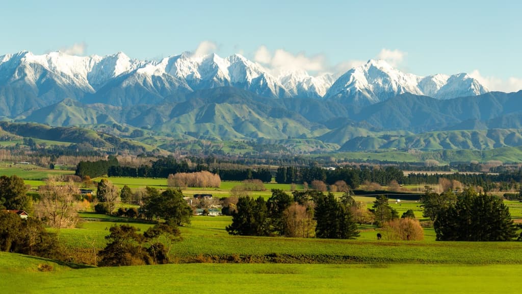 icon for Greater Wellington Wairarapa By-Election Winner