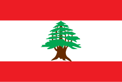 Lebanon Parliamentary Election Winner card icon