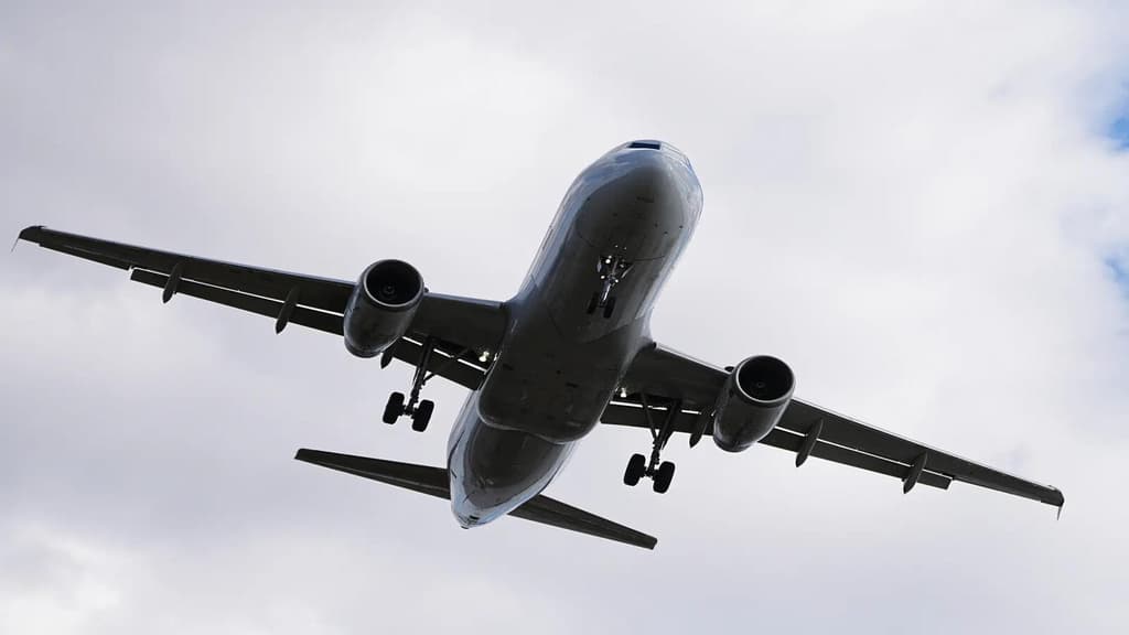 icon for Moscow air traffic suspended by...?
