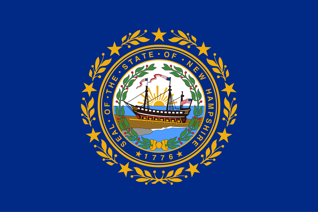 icon for NH-01 Democratic Primary Winner
