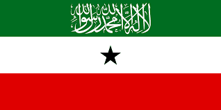 icon for Somaliland Parliamentary Election Winner