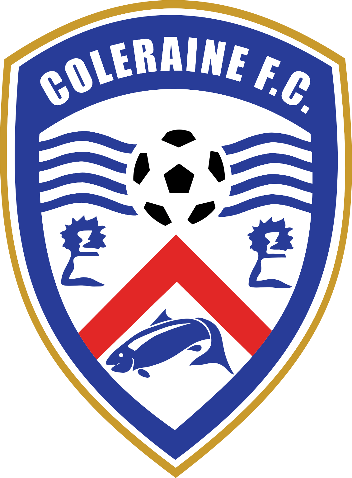Coleraine FC