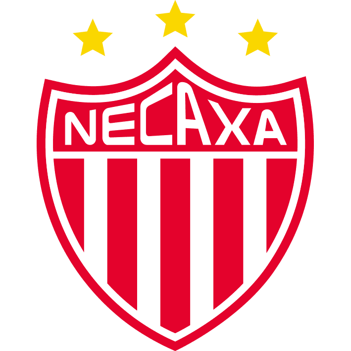 nec icon