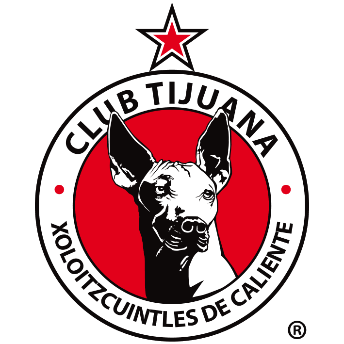 tij icon