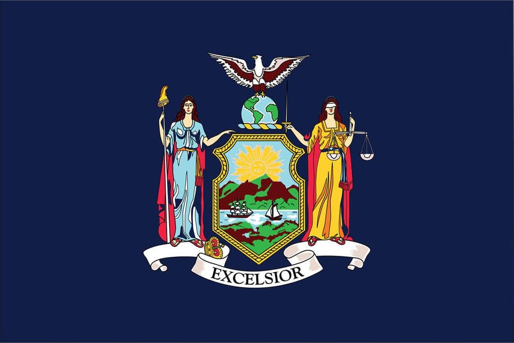 icon for NY-17 Democratic Primary Margin of Victory