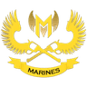 icon for GAM