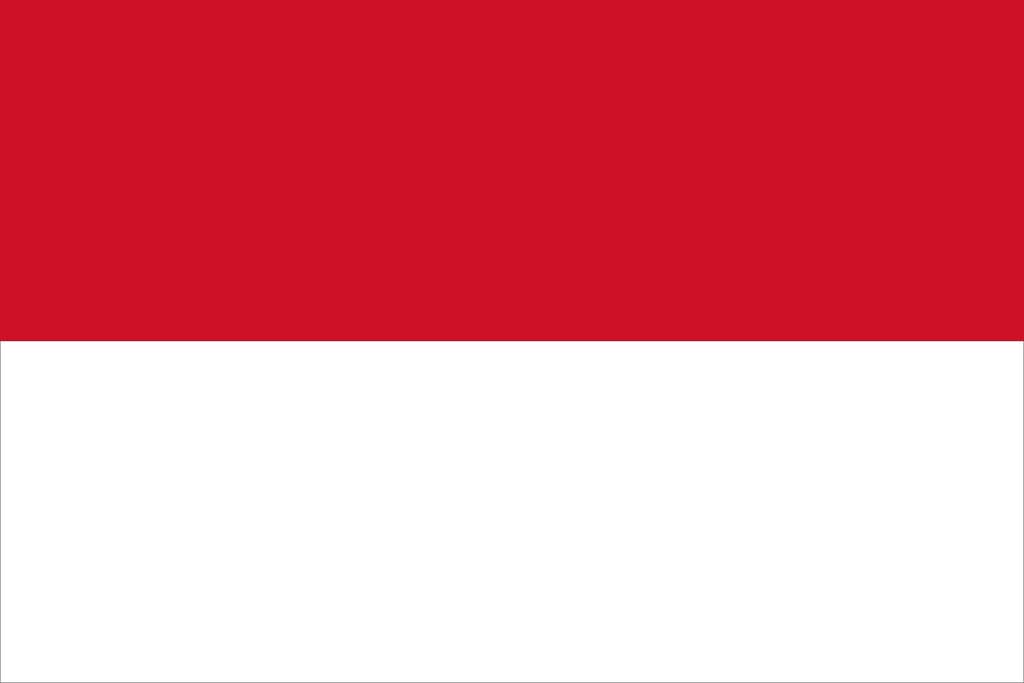 icon for Will MSCI downgrade Indonesia to Frontier Market status by November 30?